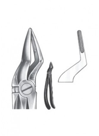 Extracting Forceps